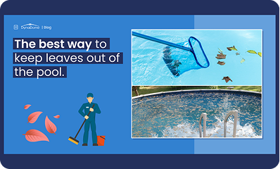 best-way-to-keep-leaves-out-of-pool